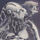 AIBer