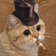 BBcat