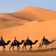 CAMEL
