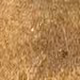 patch