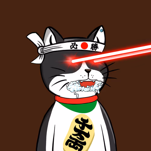 Chubby Cat Onsen Club