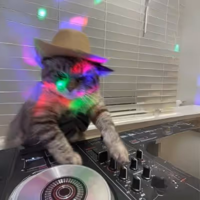 DJCAT