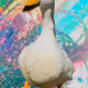 Duck Blast