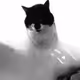smokat