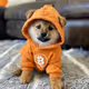 Bitcoin Dogs