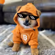 dog go to the moon free mint