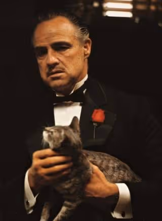 MARLON BRANDO