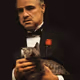 MARLON BRANDO