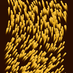 1565