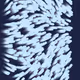 798