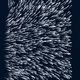 2450