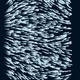 2740