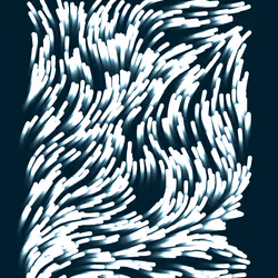 2496