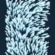 320