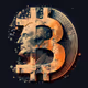 Bitcoin Maximalist