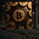 Bitcoin forest