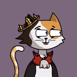 231