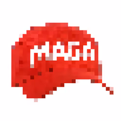 MAGA #37