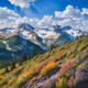 Peaks of Spring