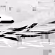 testz