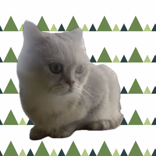 Cat mania 5