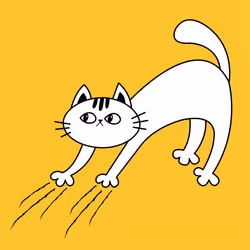 Scratch #0
