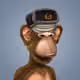 331