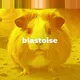 Blastoise