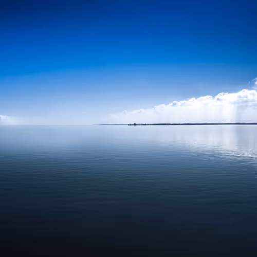NelonBlast