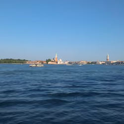 IMAG2319