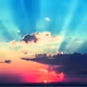 Radiate