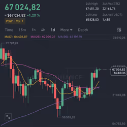 BTC - 05/18/2024 #740