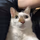 I Am Abiting
