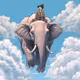 flyingelephant0003