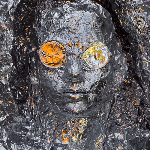 Foil Portraits