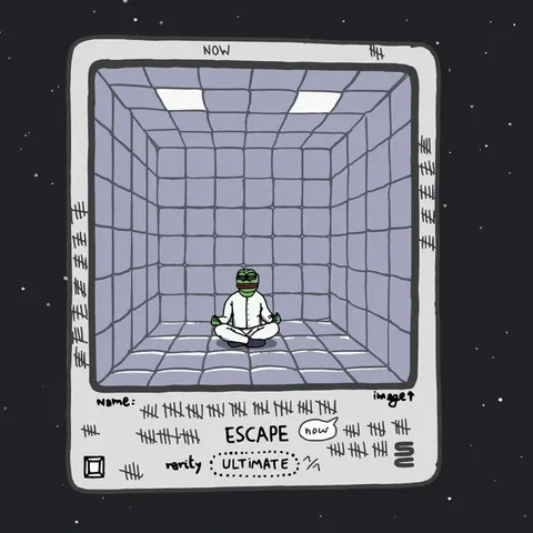 41