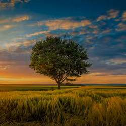 nature11 #23