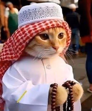 Stay Halal Meow