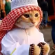 Stay Halal Meow