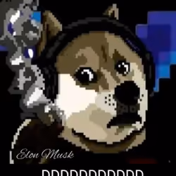 Dog Face  #17338
