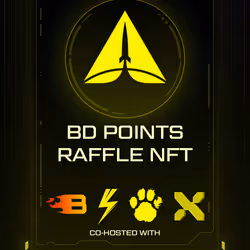 BD Points Raffle NFT