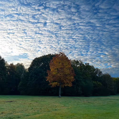 Photography that blasts your Gold Jackpot