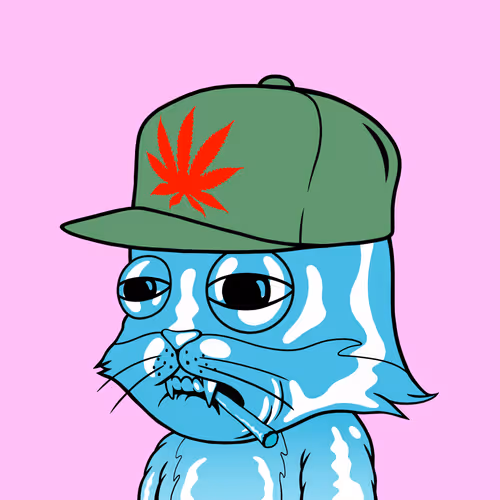 Myhomiesindreamland