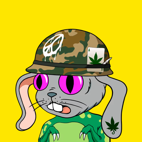 Myhomiesindreamland