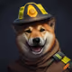 Dog Farm Gold