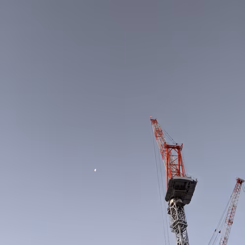 crane