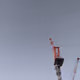 crane