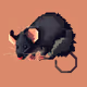 rat