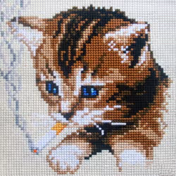 rouspycat #37