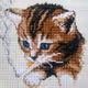 rouspycat